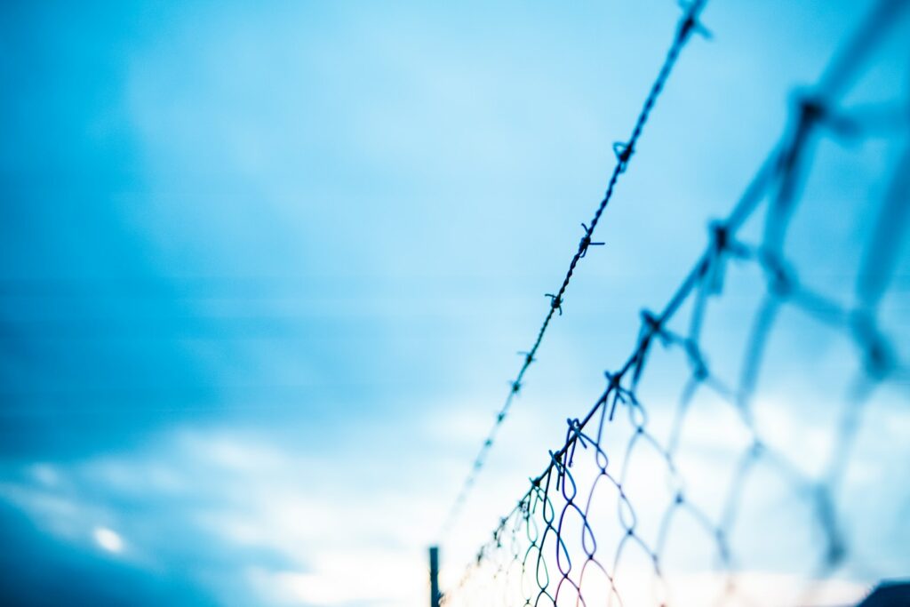 barbed wire