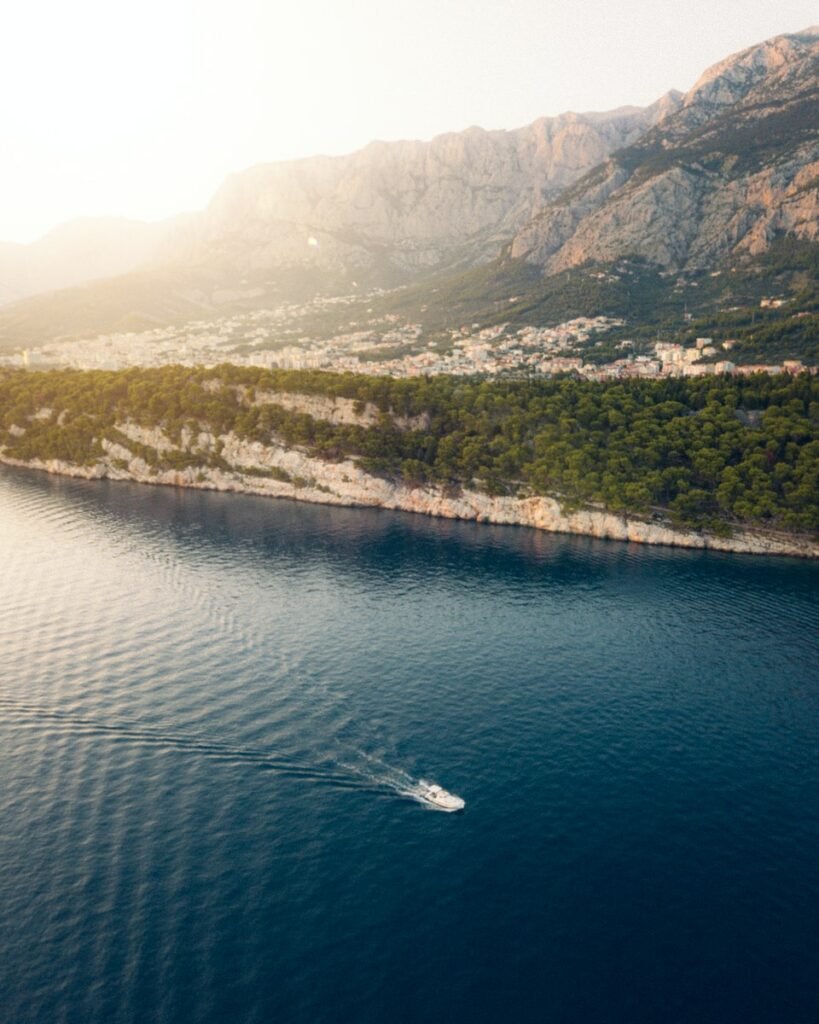 aerial view of green trees and lake